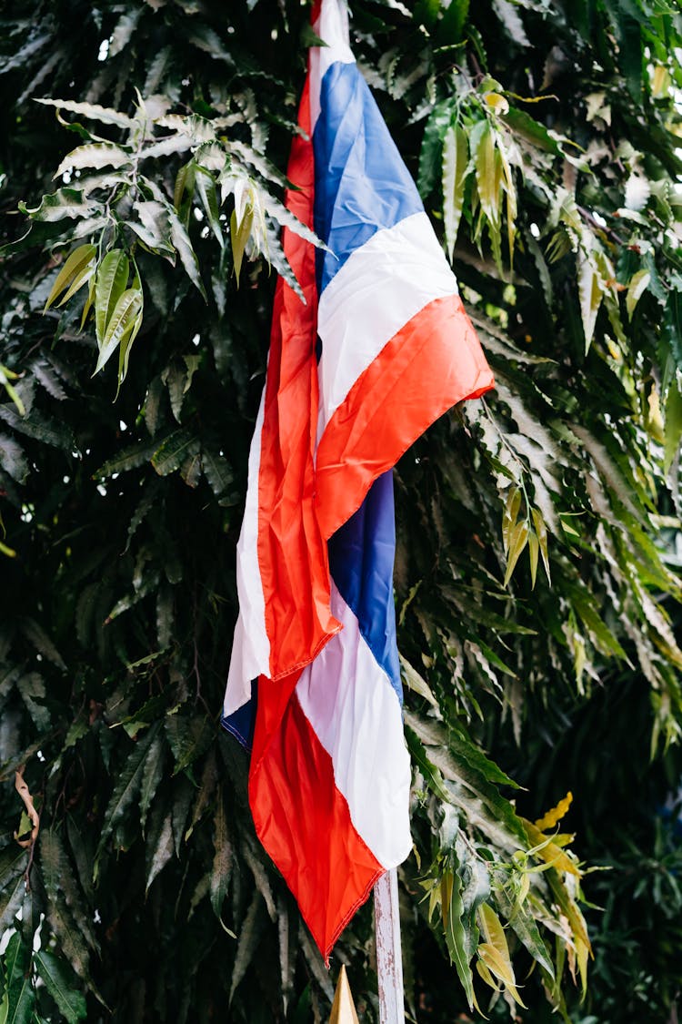 Flag Of The Thailand