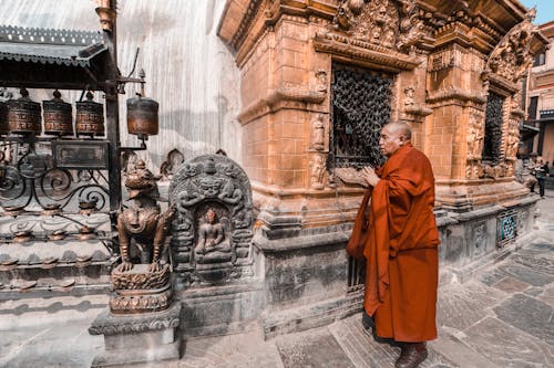 Imagine de stoc gratuită din Buddha, budist, călugăr