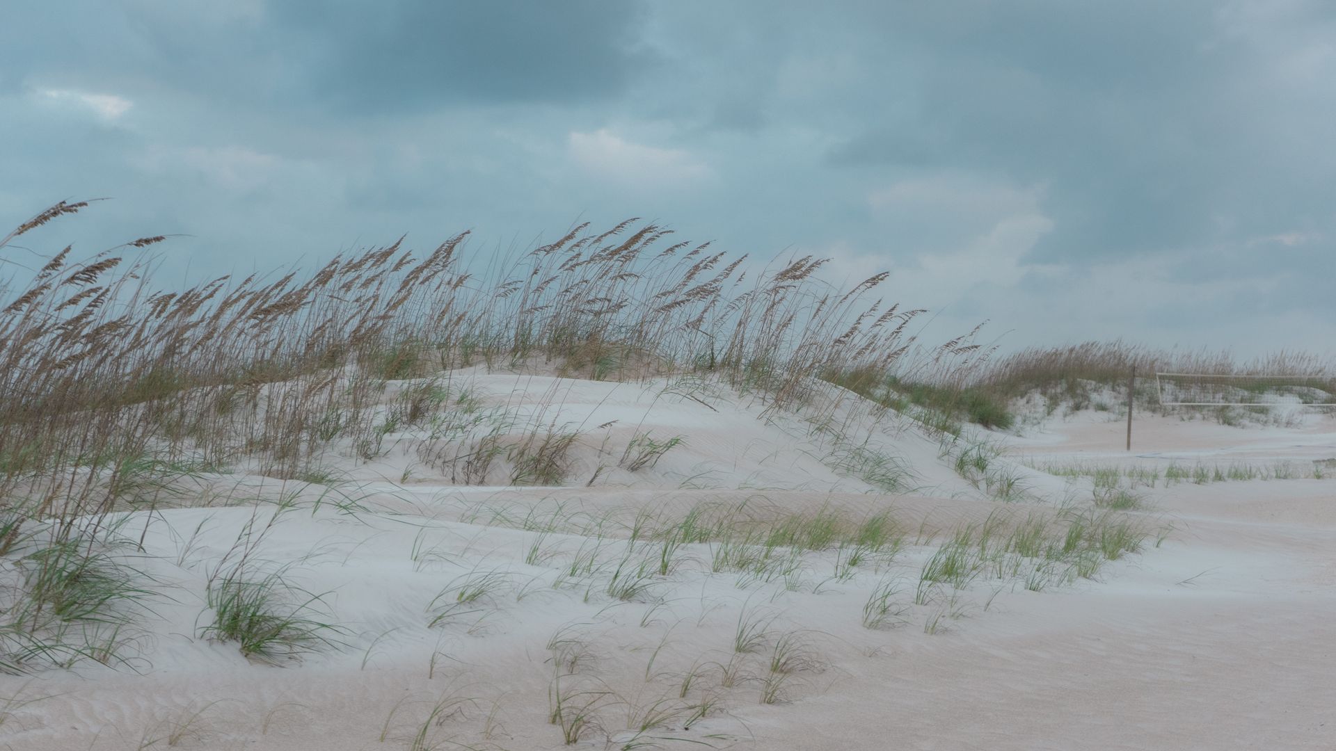 Tranquil view of sand dunes and grass at St. Augustine Beach under a cloudy sky.