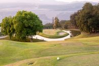 Golf Course in Green Grass Field With Trees