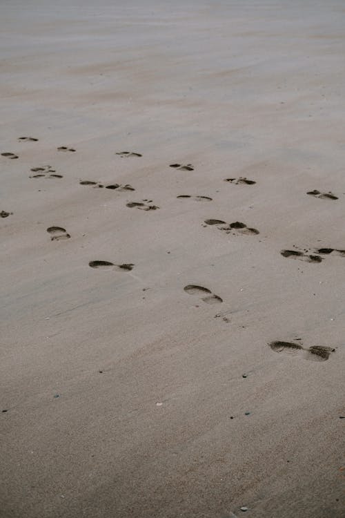 Free Footprints on Sand  Stock Photo