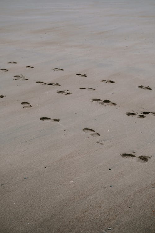 horse tracks in sand