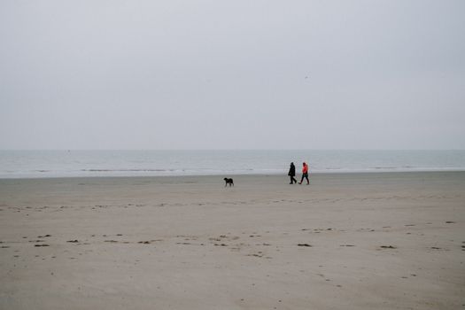 Two people and a dog walking along a deserted beach under a cloudy sky.