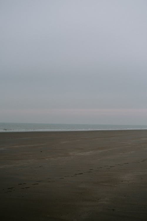 Безкоштовне стокове фото на тему «берег, горизонт, мальовничий»