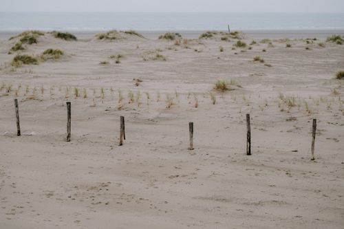Free Peaceful sandy beach with dunes under an overcast sky, ideal for relaxation. Stock Photo