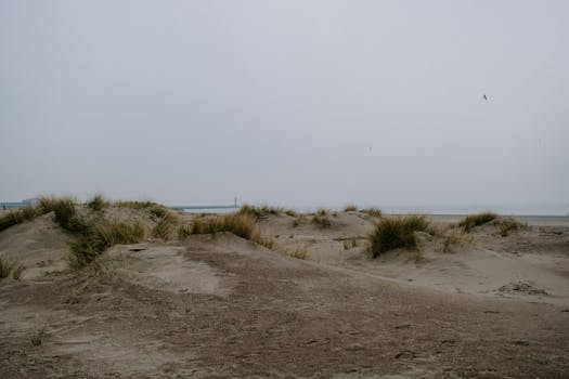 A tranquil beach scene with sandy dunes under an overcast sky and distant sea horizon.