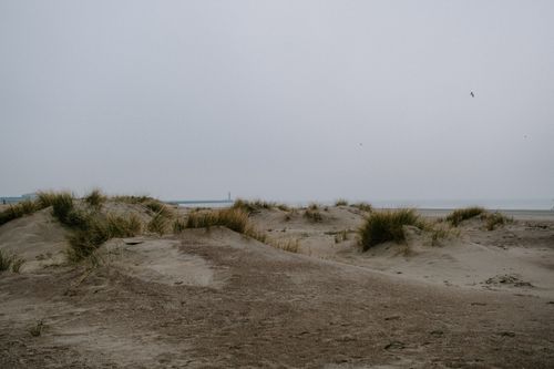 Free A tranquil beach scene with sandy dunes under an overcast sky and distant sea horizon. Stock Photo