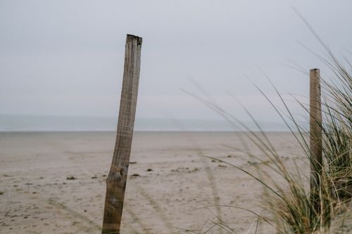 Free A tranquil beach scene with wooden posts and beach grass at twilight, capturing a peaceful seaside atmosphere. Stock Photo