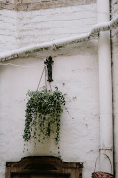 A hanging plant in a pot against a textured white brick wall with a decorative metal hook.