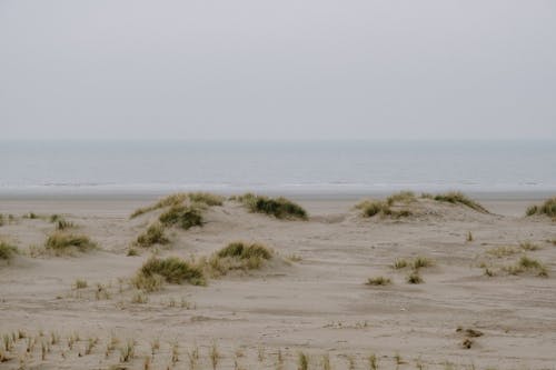 Photos gratuites de bord de mer, brouillard, dunes