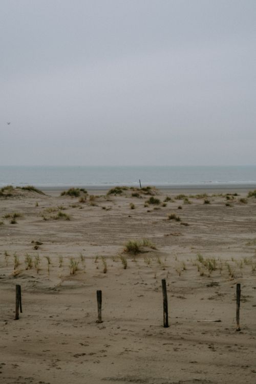 Free Peaceful sandy coastline with gentle waves and overcast sky, ideal for tranquil themes. Stock Photo