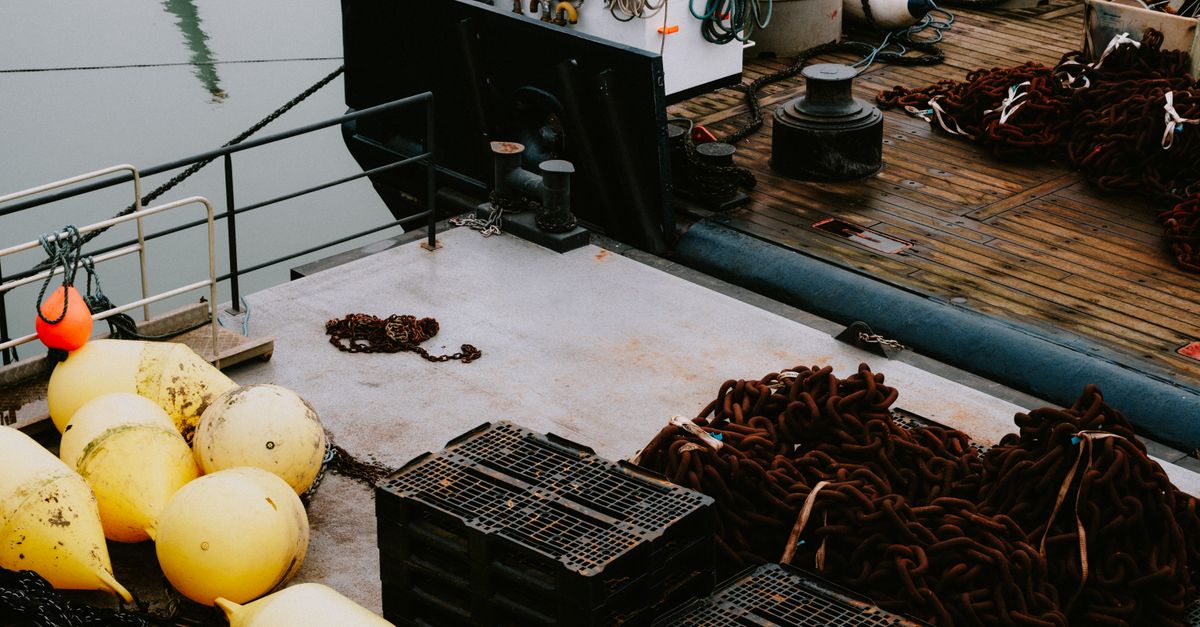 Comment choisir son équipement pour la pêche en mer