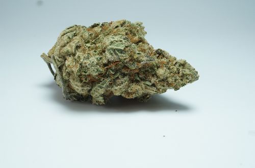 Free stock photo of cannabis, oz kush Stock Photo
