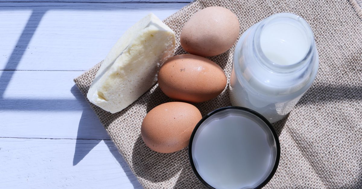 protein shake cottage cheese healthy breakfast options