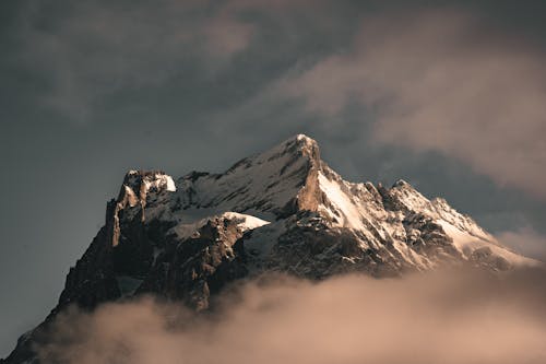 Foto profissional grátis de atraente, bico, céu