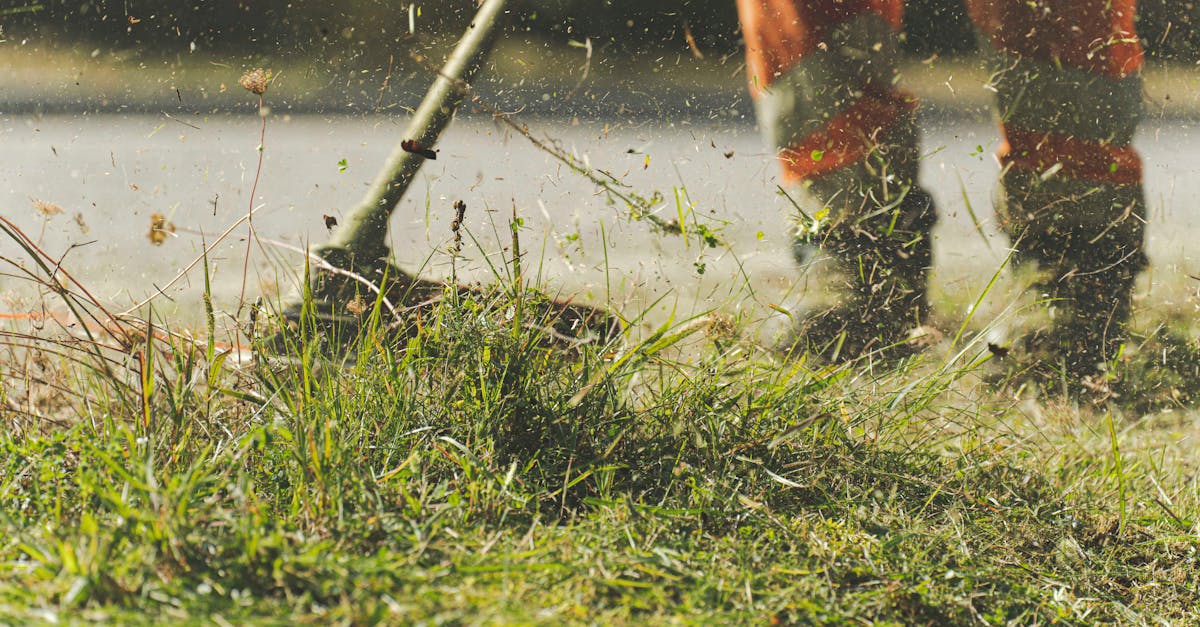 How to remove carburetor lawn mower