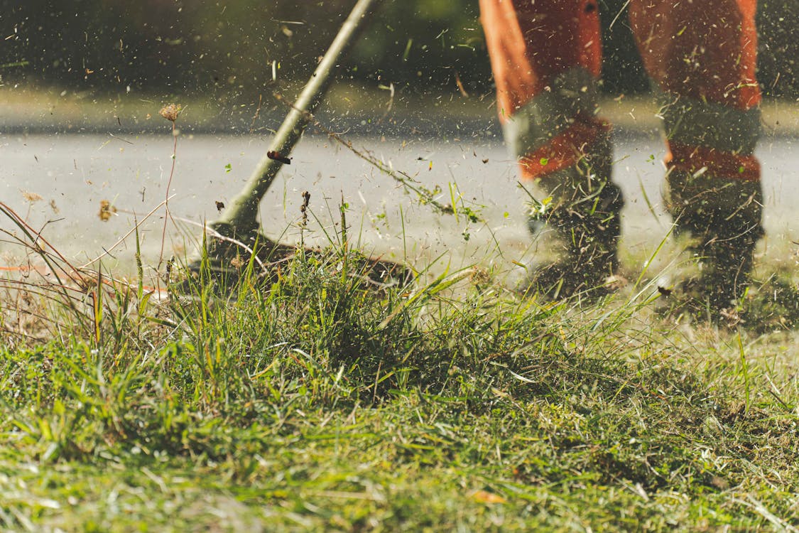 Free Person Using Lawn Mower Stock Photo