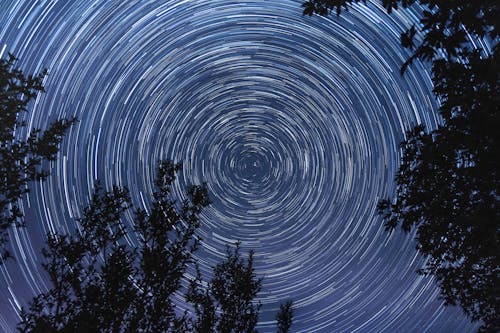 Fotos de stock gratuitas de arboles, cielo nocturno, estrellas