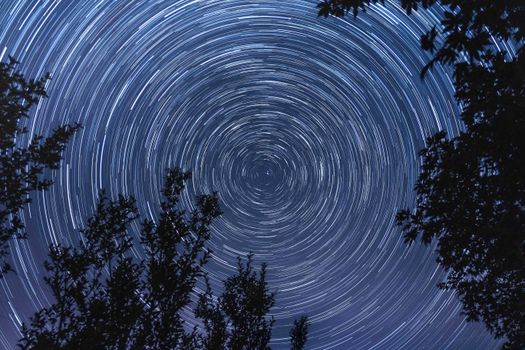 Night sky with mesmerizing star trails forming celestial circles above forest silhouettes.