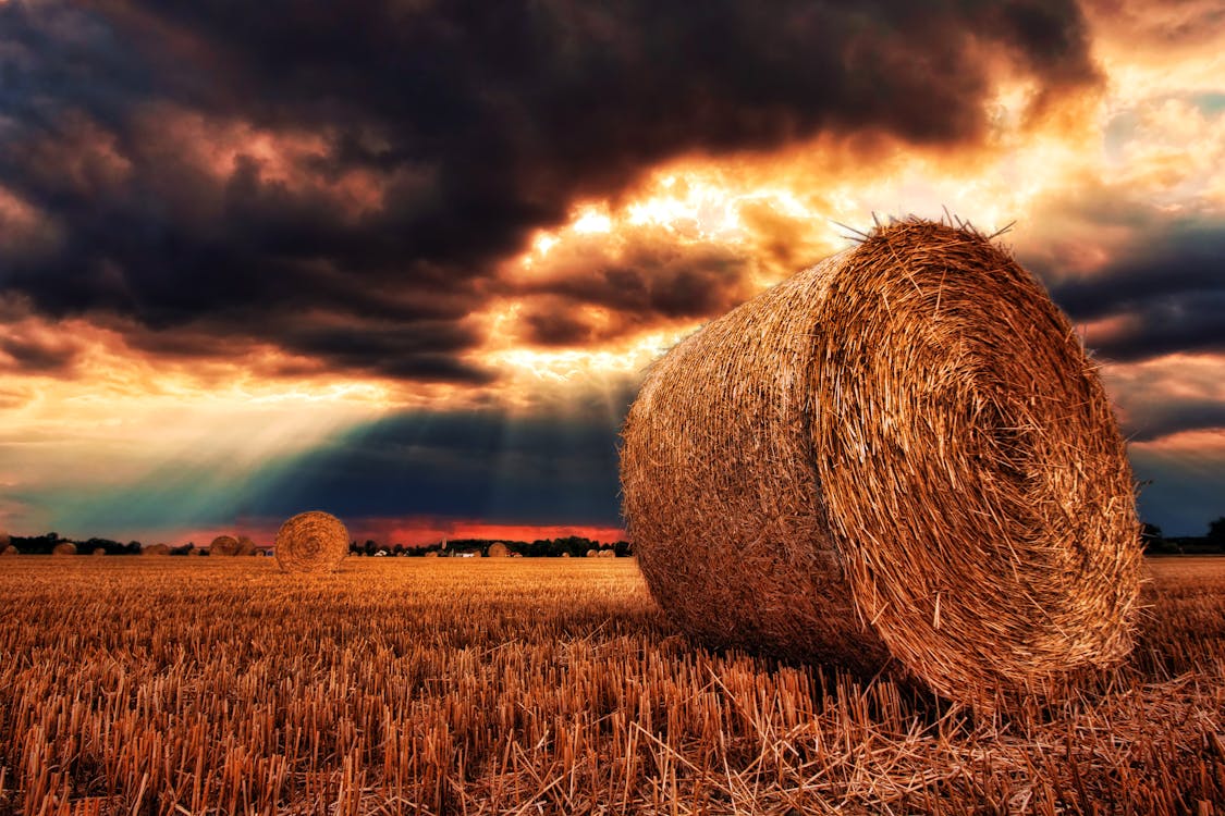 Brown Round Bale