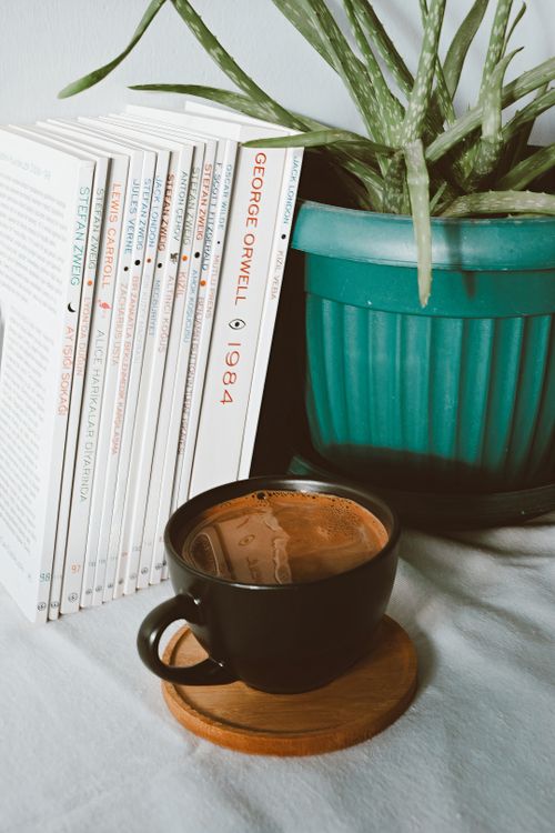 Free A comforting setup featuring a cup of Turkish coffee beside a stack of books and a potted plant. Stock Photo