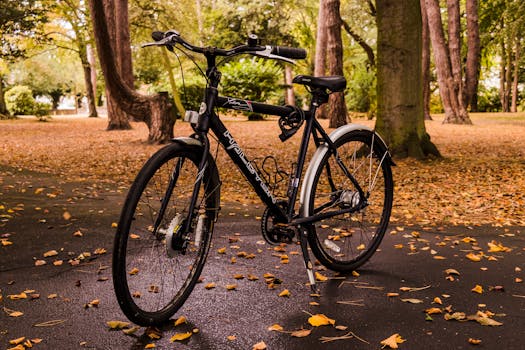 A black bicycle stands on a leaf-covered path in a tranquil autumn park.