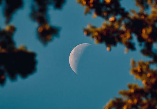 Crescent Moon in Autumn