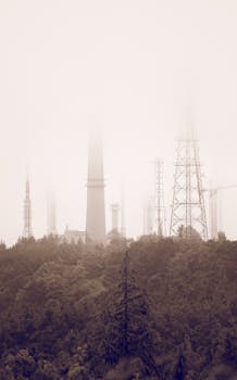 Transmission towers shrouded in mist rise above a forest under a foggy sky.