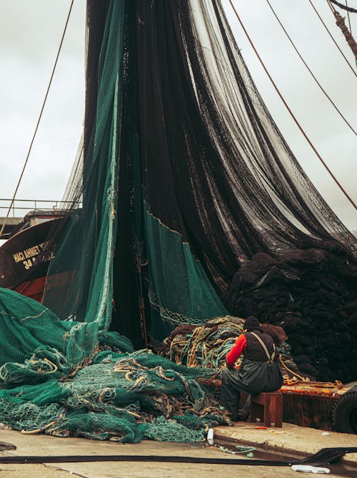 Foto profissional grátis de barcos de pesca, doca, indústria