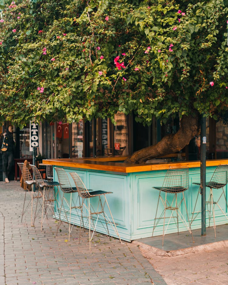 Seats And Bar Counter In Garden