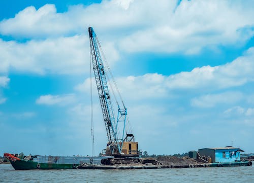 Blue and Black Crane Near Body of Water