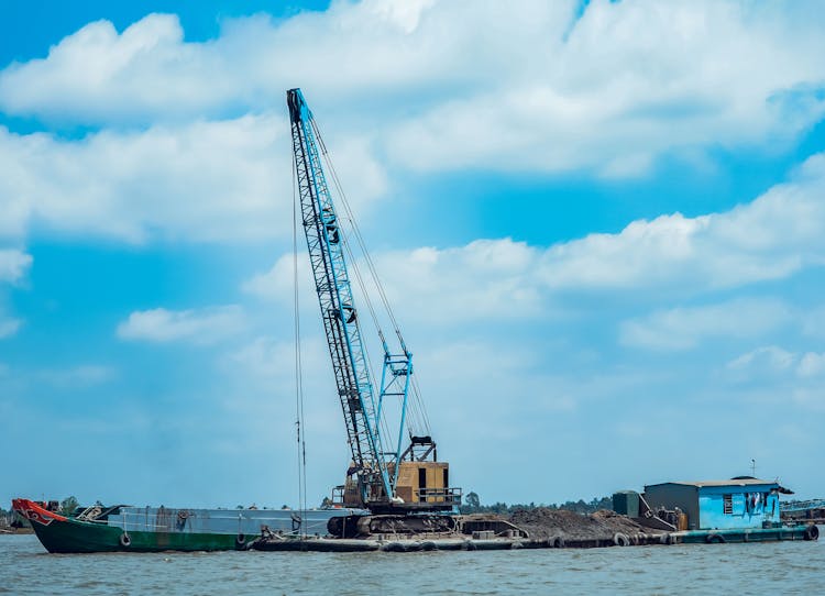 Blue And Black Crane Near Body Of Water