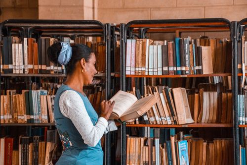Free Woman admires books in a warm and organized library environment. Stock Photo
