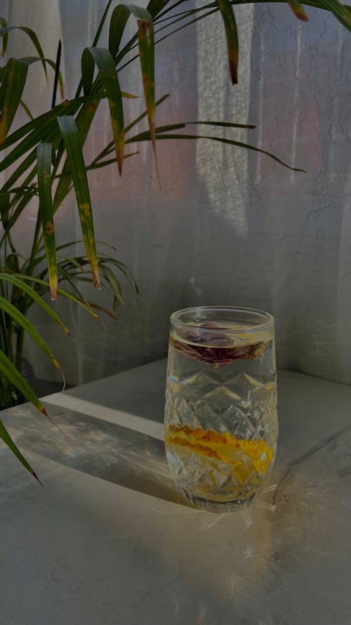 dikey atış, içki, limon dilimleri içeren Ücretsiz stok fotoğraf