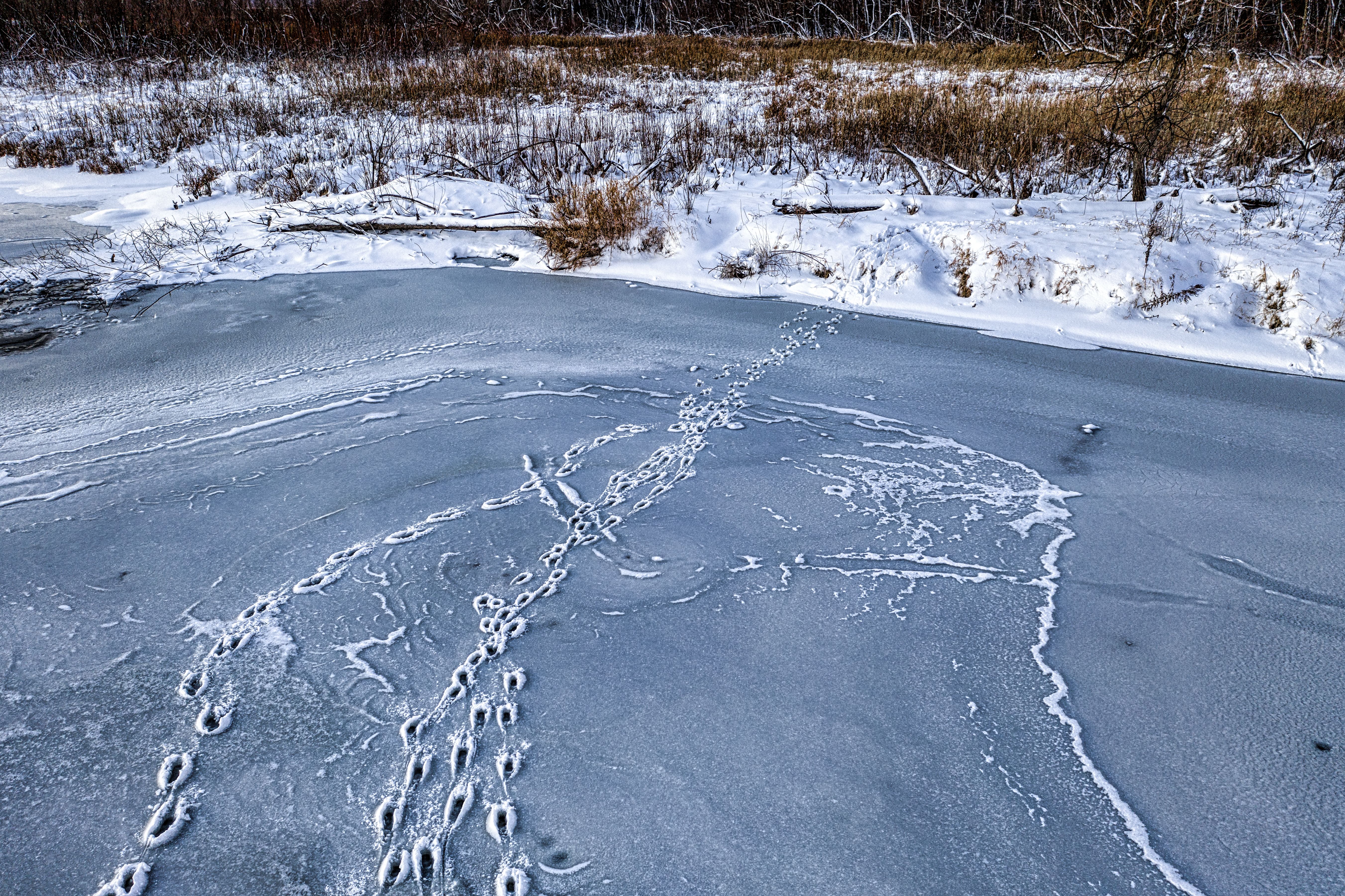An Aerial View of a Land with Snow Covered Plants · Free Stock Photo