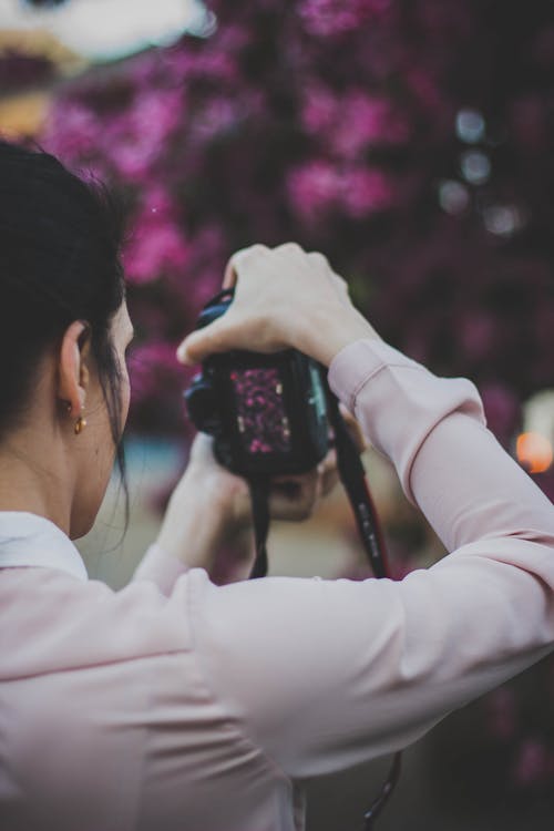 Základová fotografie zdarma na téma canon, focení, fotoaparát