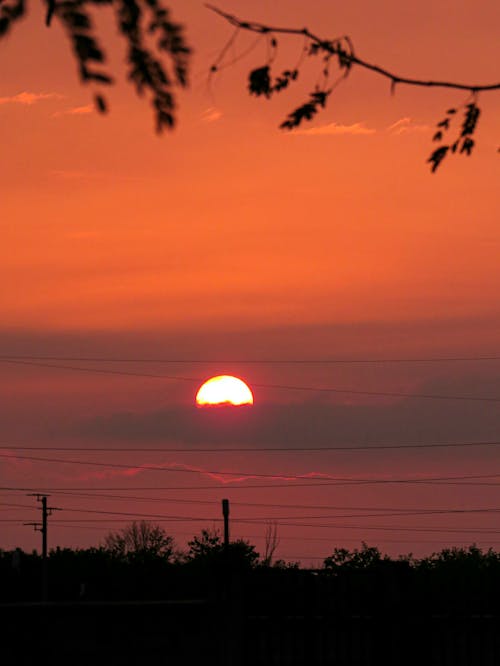 Free Silhouette of Trees during Sunset Stock Photo