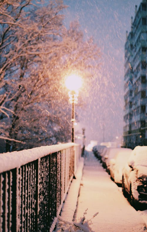 下雪的, 下雪的天氣, 光 的 免费素材图片