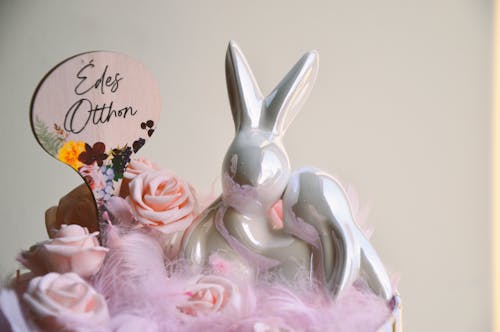 Free stock photo of bunny, celebration, cute Stock Photo