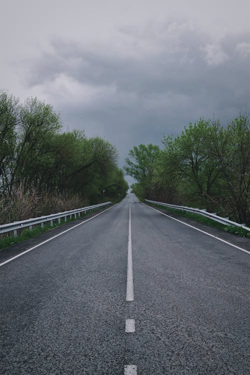 A Concrete Road between Trees under a Gloomy Sky