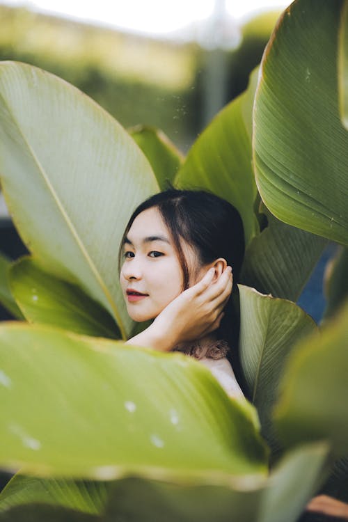 Free Woman Between Big Plant Leaves  Stock Photo
