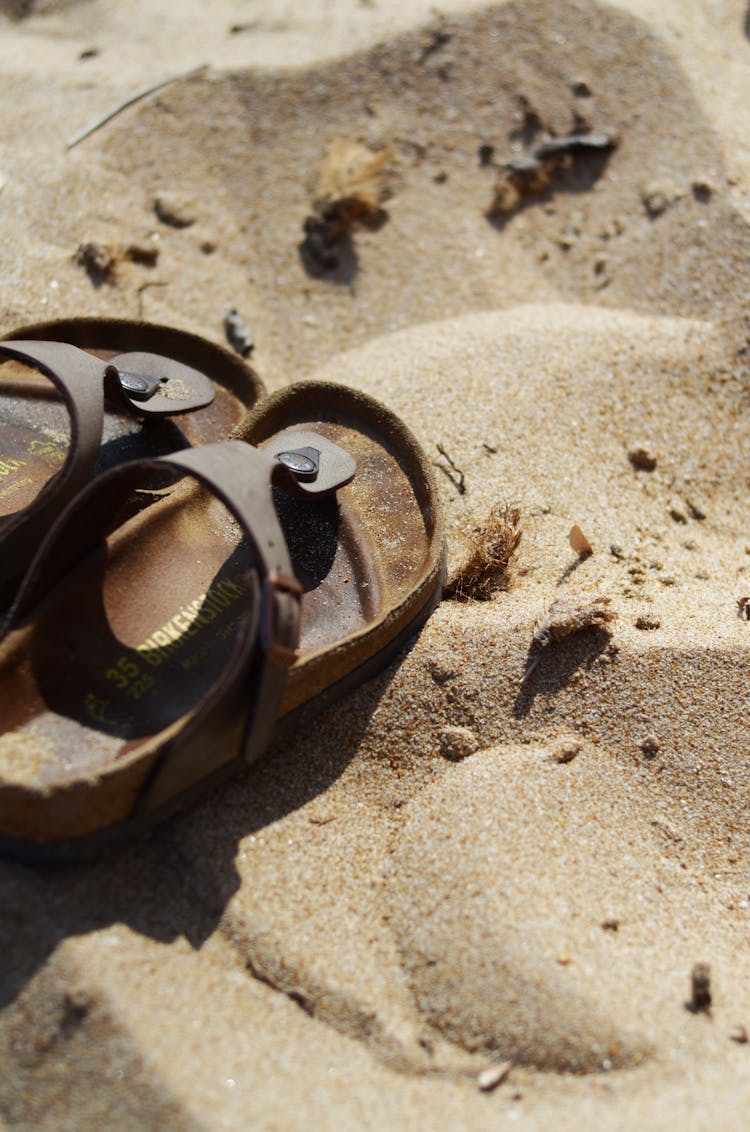 Birkenstock Sandals On Brown Sand