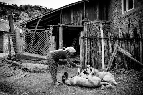 Grayscale Photo of Woman Playing with the Dogs 