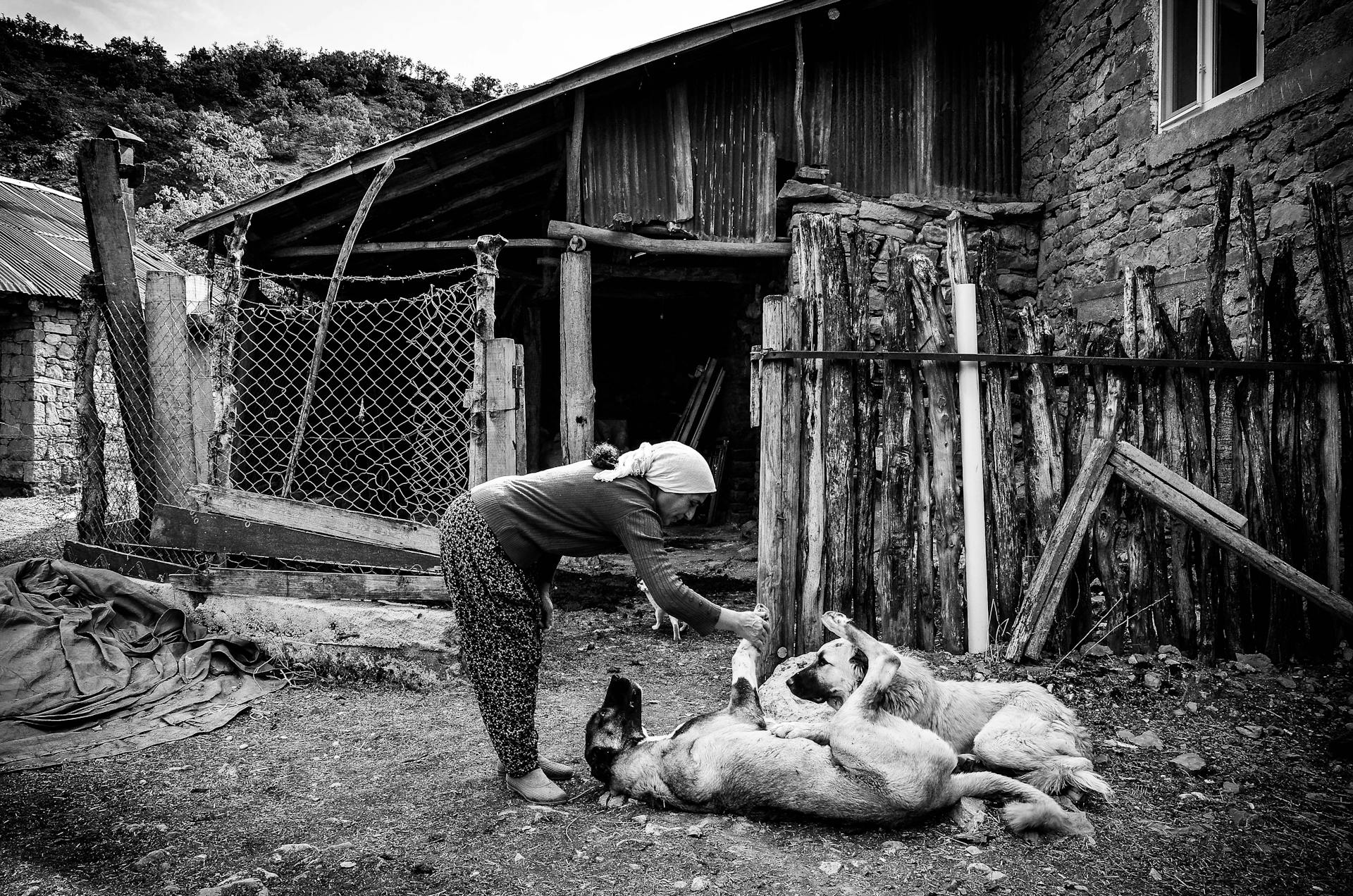 Grayscale Photo of Woman Playing with the Dogs