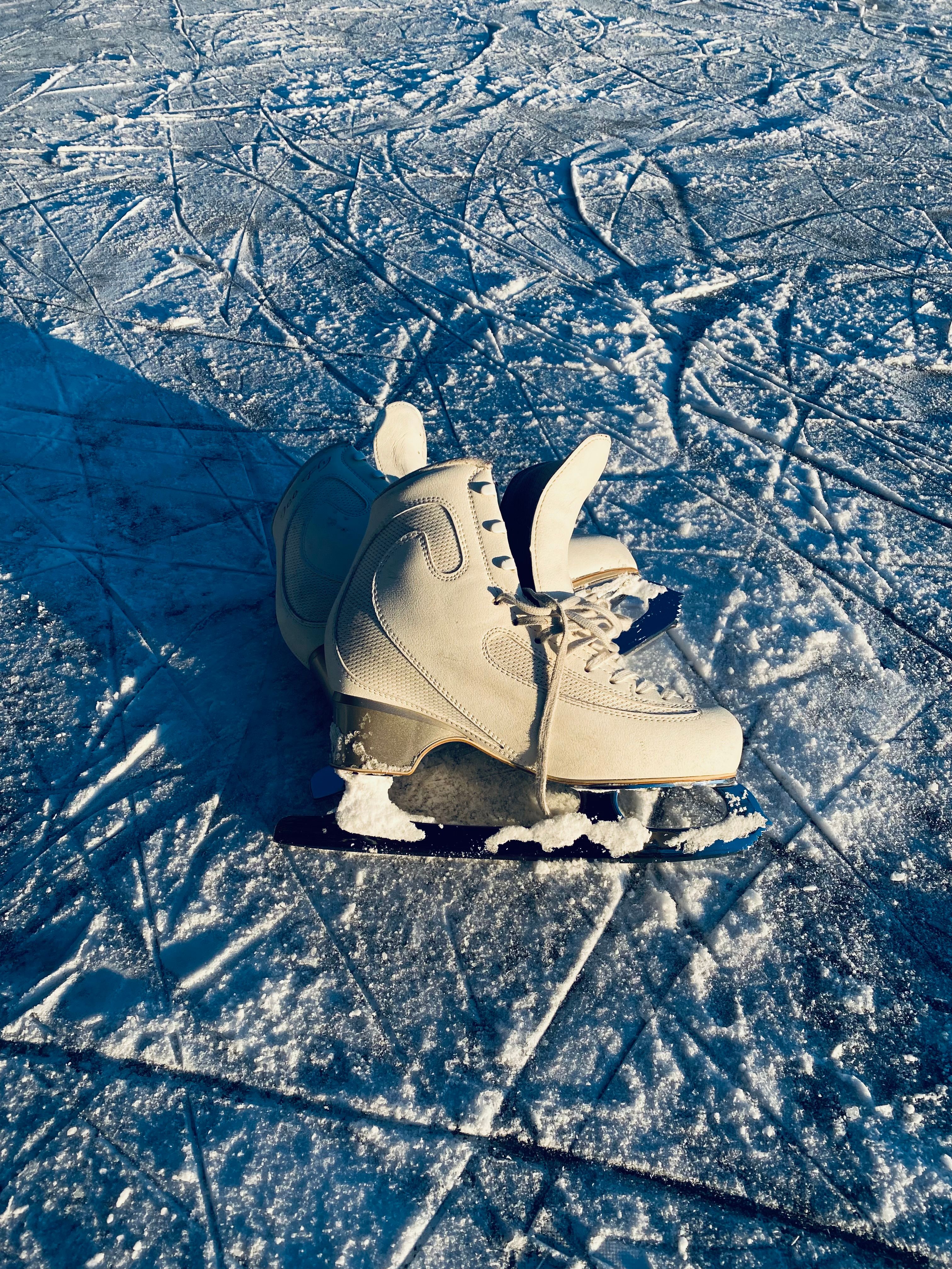 Dunedin Ice Stadium