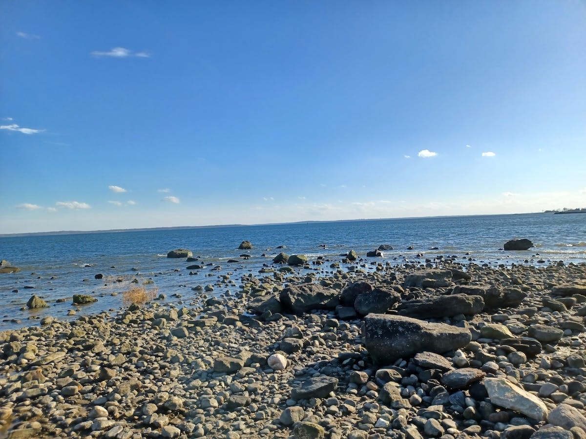 Two warm mushroom lattes in ceramic cups on a rustic wooden table
