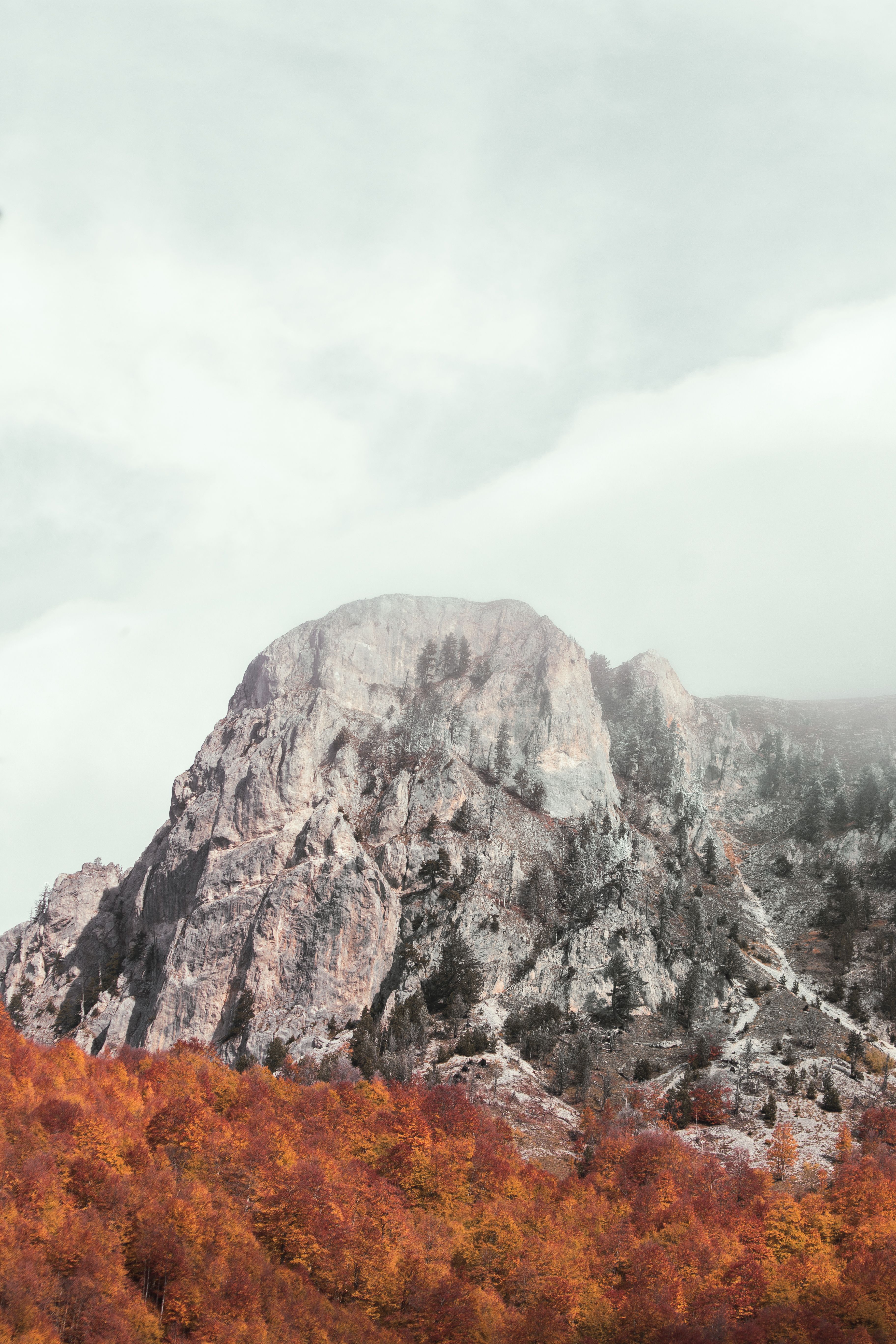 Rocky Mountain Near Autumn Trees · Free Stock Photo