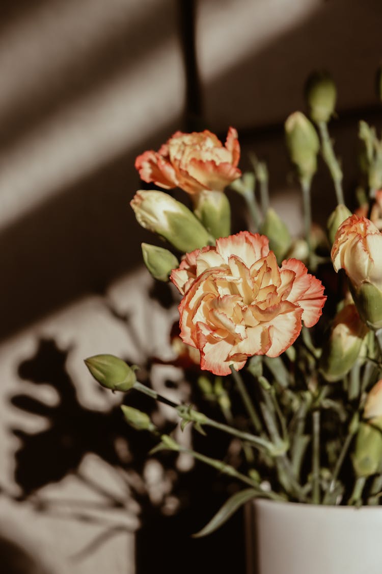 Close Up Photo Of Flowers In A Vase