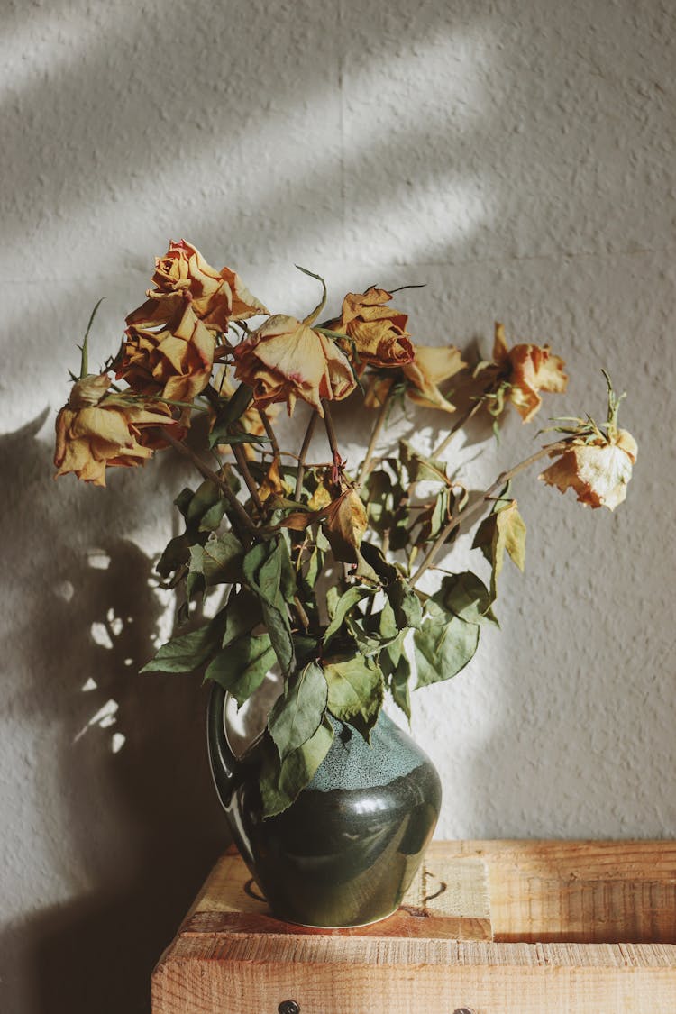 Withered Flowers In Ceramic Vase