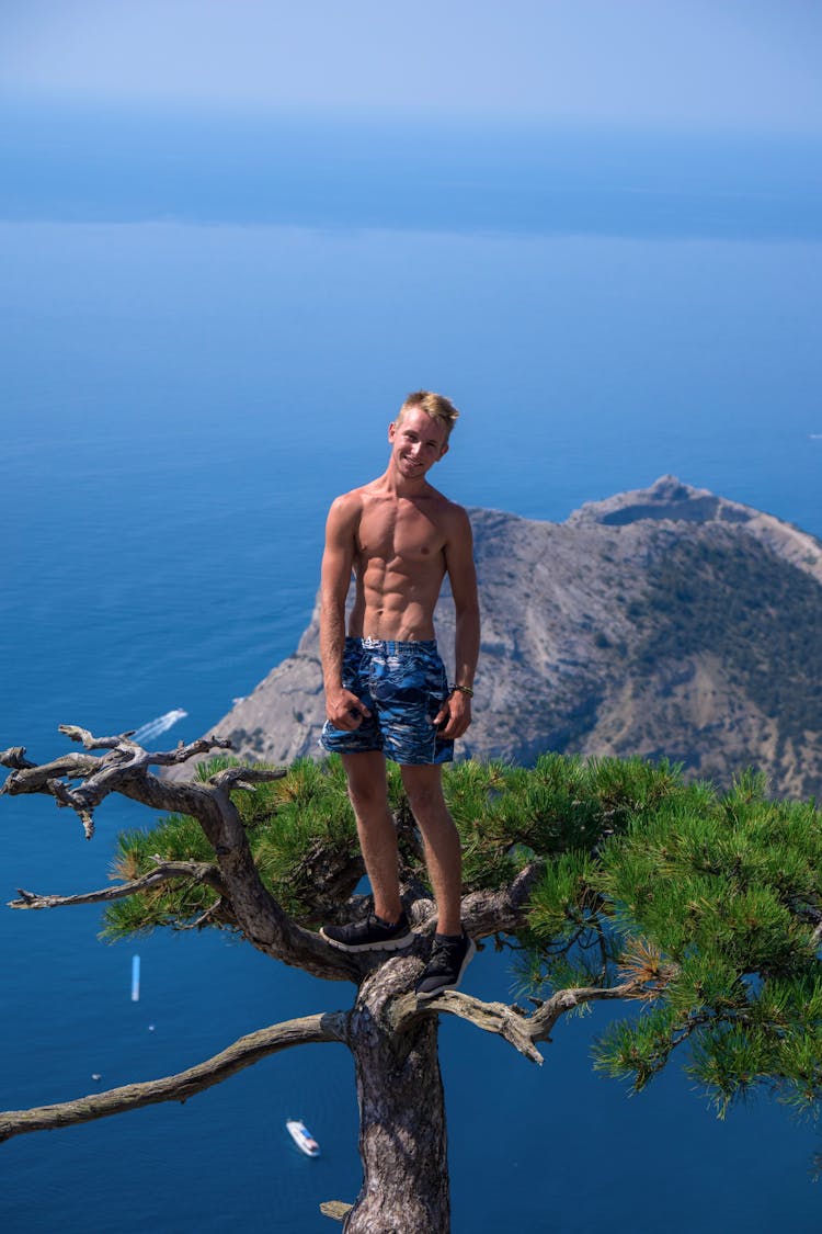 Man Standing On Top Of A Tree